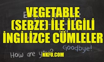 Vegetable (Sebze) İle İlgili İngilizce Cümleler