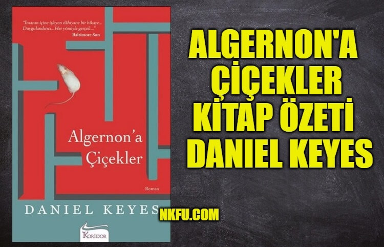 Algernon'a Çiçekler