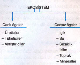 ekosistem-4