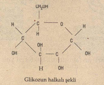 glikoz