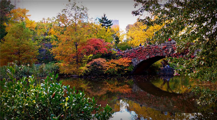 Amerika New York'ta bulunan Central Park'tan bir görünüm
