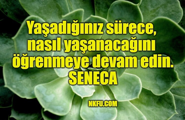Seneca Sözleri