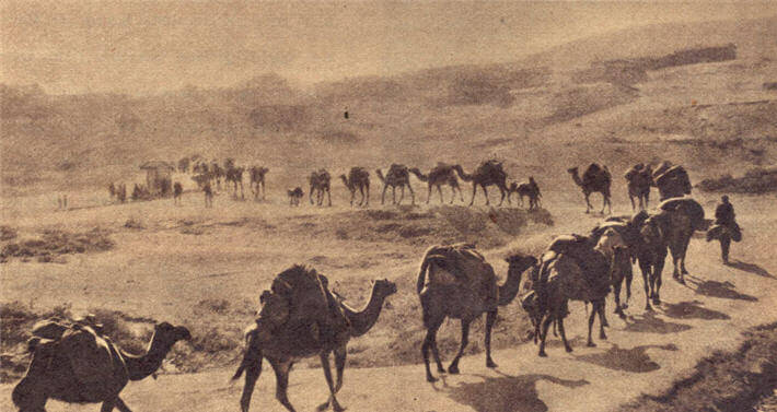 Uçsuz bucaksız deve kervanları Yunan Ordusu'na durmadan cephane ve yiyecek taşıyordu. Düşmanlarımız bize göre büyük bolluk ve refah içindeydi.