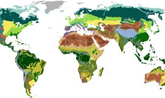 Dünya Biyom Haritası
