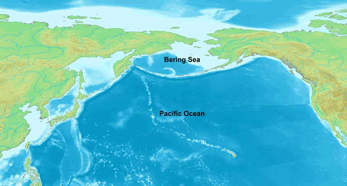 Bering Denizi