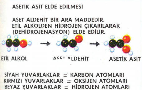 Asetik Asit Elde Edilmesi