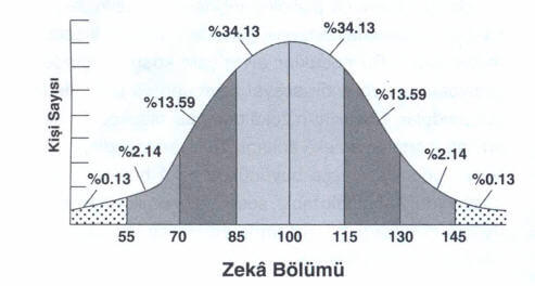 zeka-bolumu