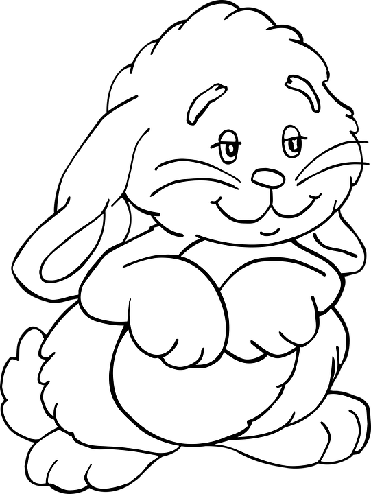 Tavşan Boyama