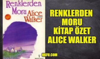 Renklerden Moru Kitap Özeti Konusu Karakterler, Alice Walker Renklerden Moru