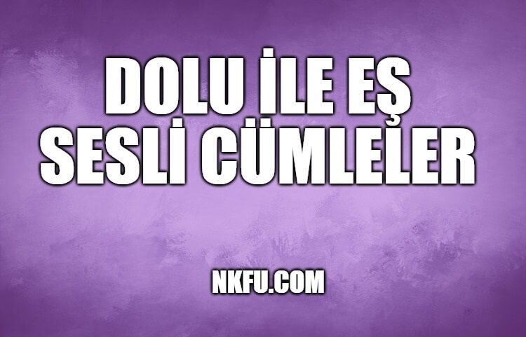 Dolu İle İlgili Eş Sesli Cümleler