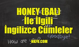 Honey (Bal) İle İlgili İngilizce Cümleler