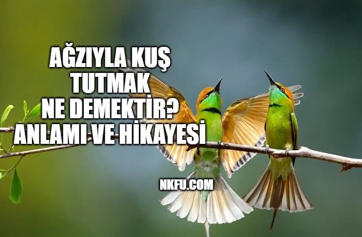 agziyla kus tutmak ne demektir deyimin anlami hikayesi ornek cumleler
