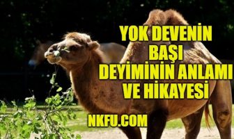 Yok Devenin Başı