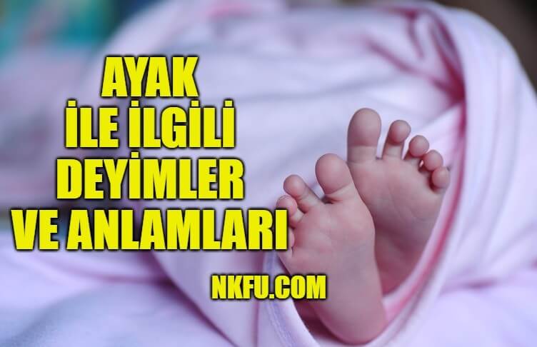 Ayak ile ilgili deyimler