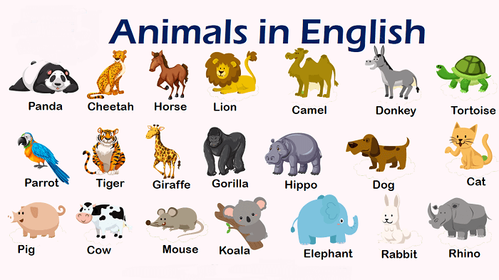 Animals in English