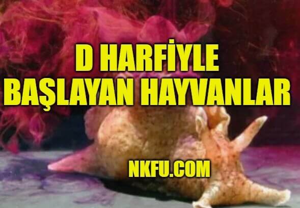 D Harfiyle Başlayan Hayvanlar