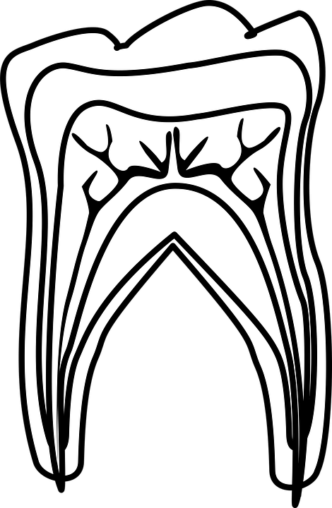 Diş Sağlığı Boyama Sayfaları
