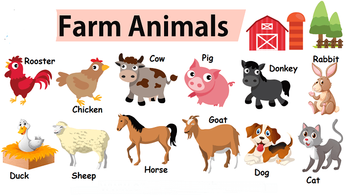 farm animals