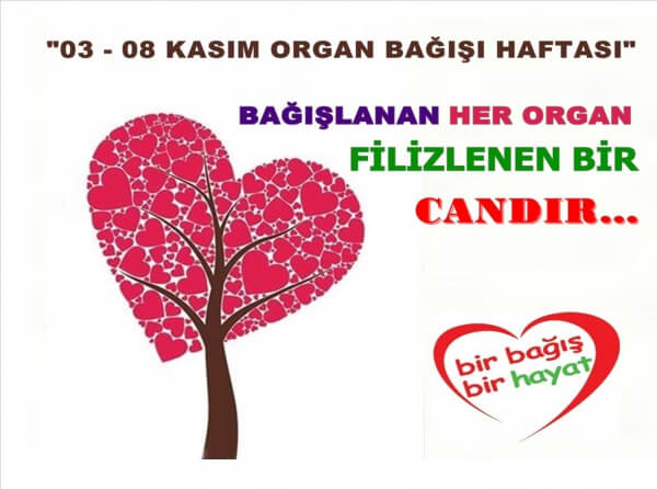 Organ Bağışı Sloganları