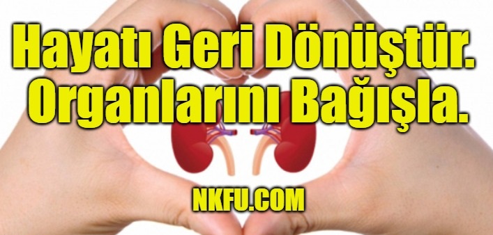 Organ Bağışı Sloganları