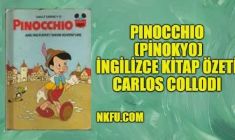 Pinokyo (Pinocchio) İngilizce Özeti
