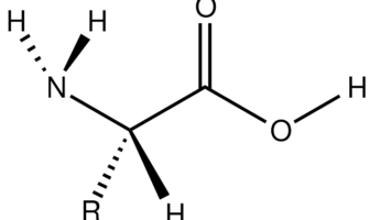 aminoasit