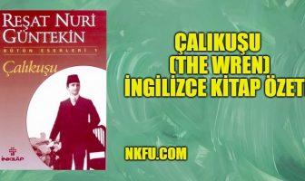 Çalıkuşu (The Wren) İngilizce Özeti