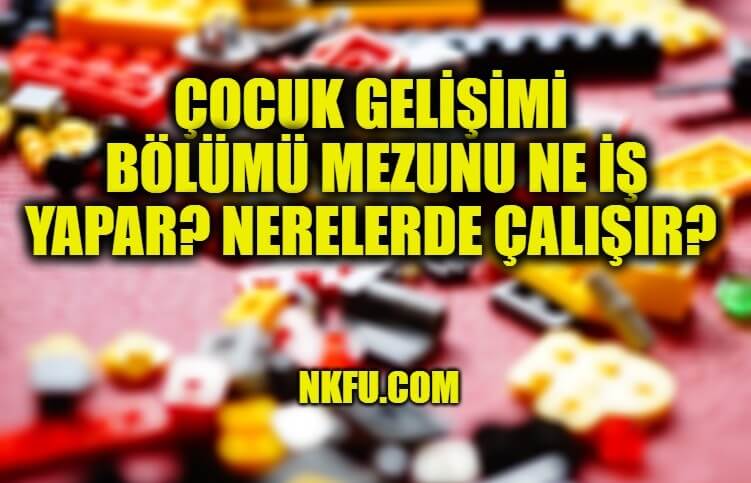 Çocuk Gelişimi Mezunları