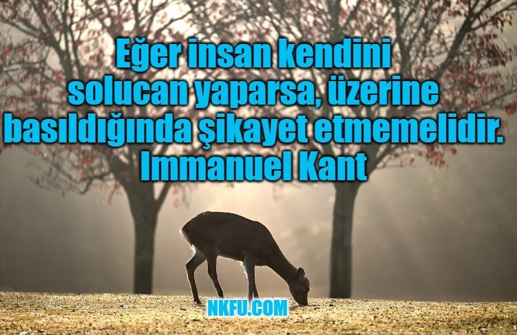Immanuel Kant Sözleri