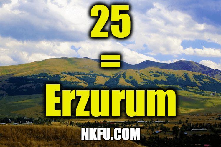 25 plaka erzurum