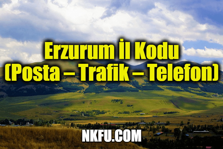 Erzurum İl Kodu (Posta – Trafik – Telefon)