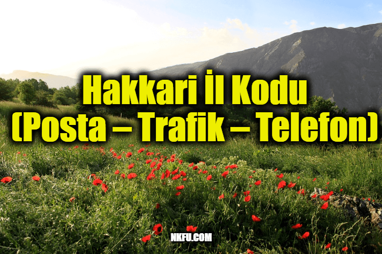 Hakkari İl Kodu