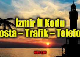 İzmir İl Kodu Tüm İlçeleri Posta Kodları Trafik Plakaları Telefon Alan Kodu