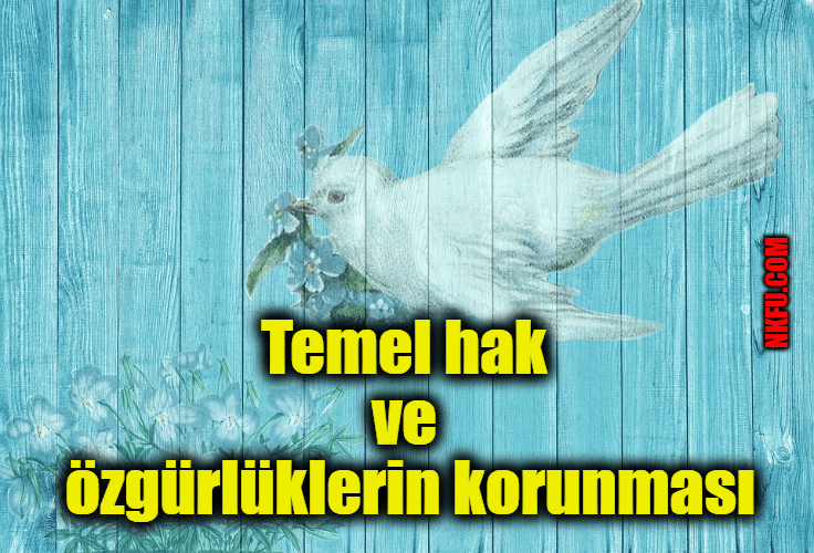 Temel hak ve özgürlüklerin korunması