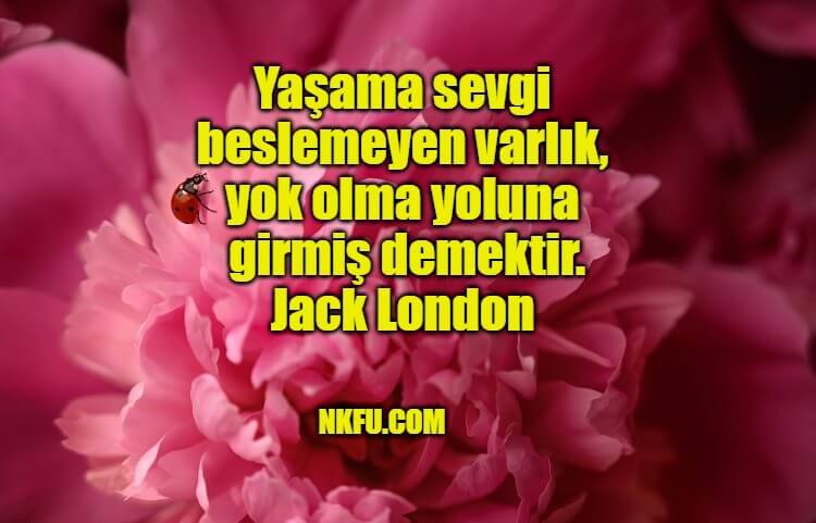 Jack London Sözleri