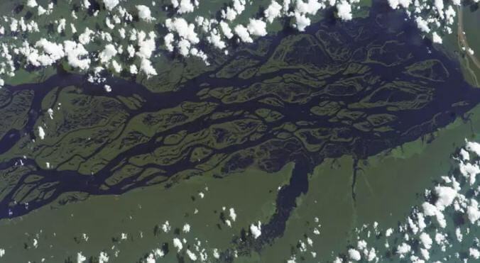 Amazon Nehri