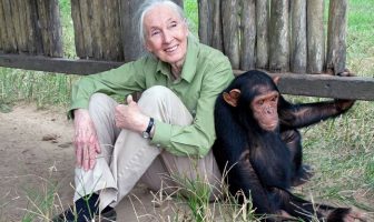 Jane Goodall