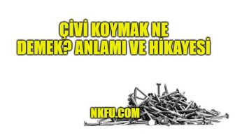 Çivi Koymak