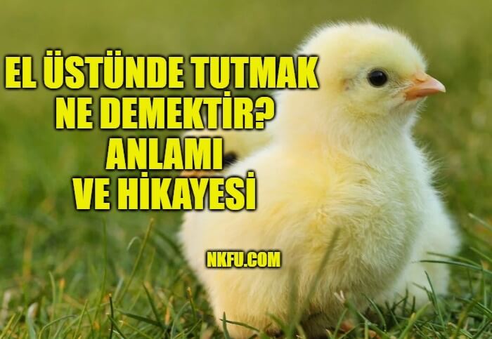 el ustunde tutmak ne demektir deyimin anlami hikayesi ornek cumlele