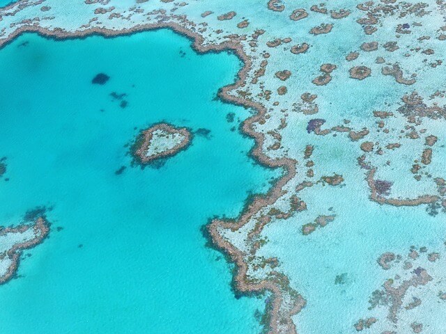 Avustralya Resif