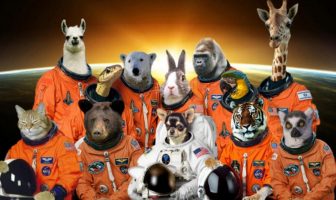 uzayda hayvanlar