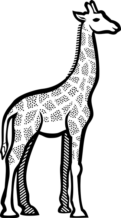 Zürafa Boyama Sayfaları