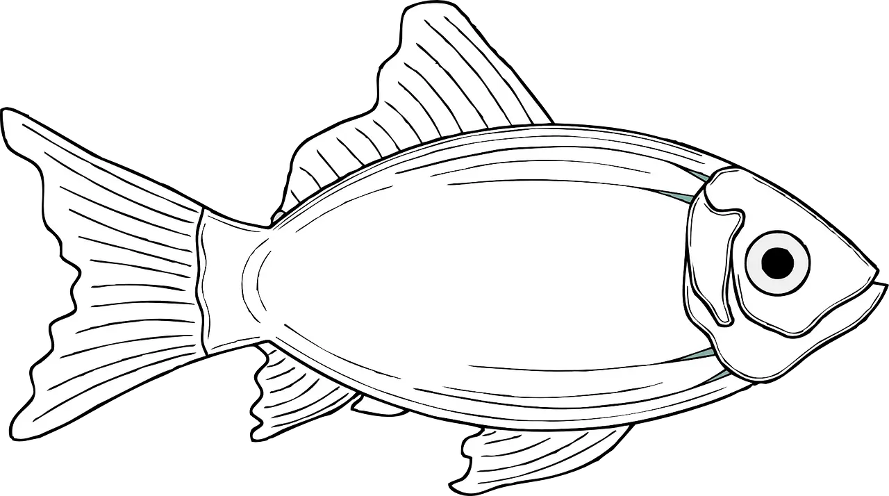 Balık Boyama Sayfaları