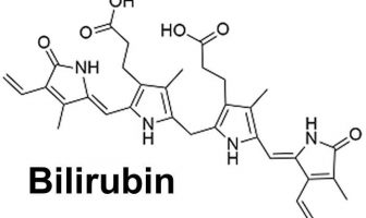 bilirubin