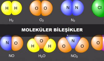 Moleküler Bileşikler