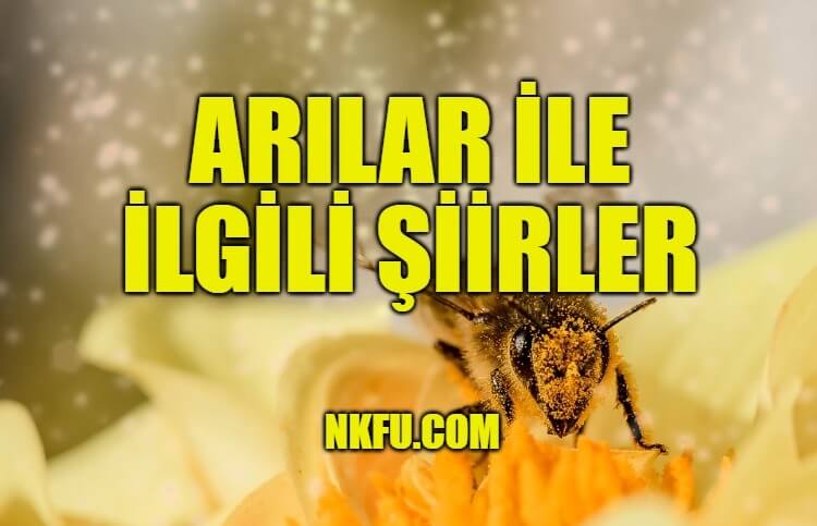 Arılar İle İlgili Şiirler
