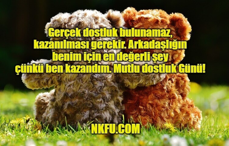 Arkadaşlık Günü Mesajları