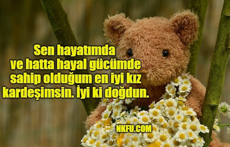 Ablaya ve Kız Kardeşe Doğum Günü Mesajları, Resimli Doğum Günü Kutlamaları