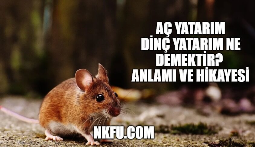 Aç Yatarım Dinç Yatarım