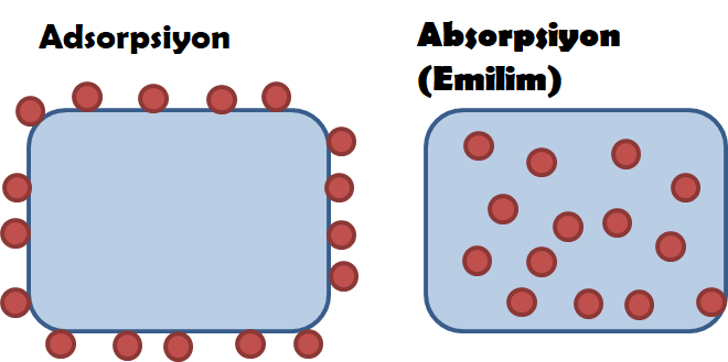 Adsorpsiyon
